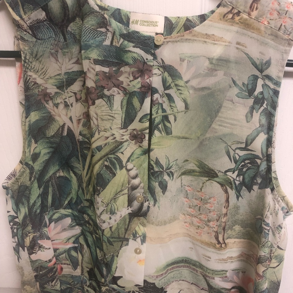 High-Low Sheer Blouse - Picture 4 of 6